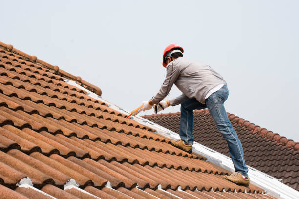 Best Steel Roofing  in Ridgway, PA